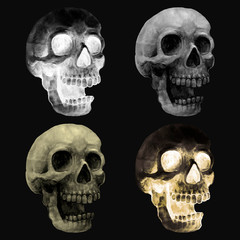 Wall Mural - Illustration of a skull icon vector for Halloween