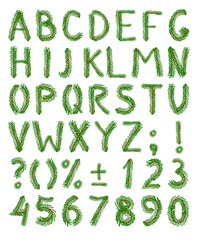 Poster - Fir tree green font