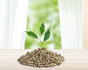 Poster - Pellet fuel with a plant growing out of it - isolated image