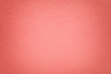 Texture Of Old Dark Pink Paper Background, Closeup. Structure Of Dense Cardboard.