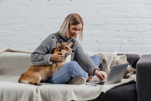 Smiling Young Blonde Woman Sitting With Welsh Corgi Dog On Sofa And Using Laptop