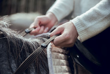 Close Up Of Woman On Horse Holding Reins