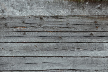 Wall Mural - Wood texture, old, wooden boards, gray color. Wooden background.