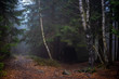 Hütte im Nebelwald