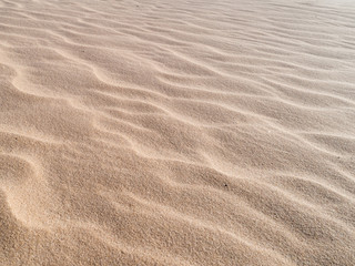  Beautiful dune of Parnaíba, Brazil. 