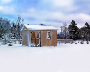 Wall Mural - Small storage shed in a winter landscape.
