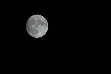 Wall Mural - The full moon against a black sky showing texture and cratered surface