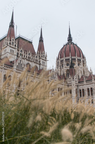 Fotografía Vegetação de outono em frente a prédio histórico em Budapeste