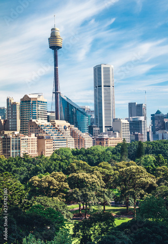 Fototapeta Sydney  panorame-sydney-w-australii