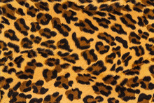 Vintage Leopard Background