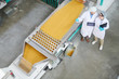 Top view  portrait of two female factory workers standing by macaroni conveyor belt during quality inspection at food production , copy space