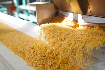 Wall Mural - Close up of dry macaroni spilling from machine unit on modern food production factory lit by sunlight, copy space