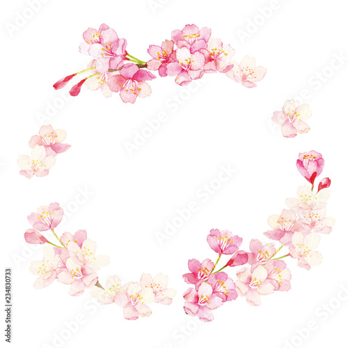桜 水彩イラスト Stock Illustration Adobe Stock 桜 水彩イラスト Stock Illustration Adobe Stock