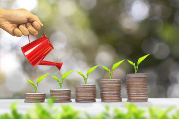 Hands watering young plants growing in on coins stack - Investment and saving money concept