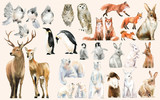 Fototapeta Fototapety na ścianę do pokoju dziecięcego - Hand-drawn wildlife set watercolor style