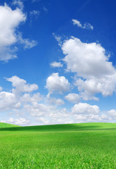 Wall Mural - idyllic view, green hills and blue sky with white clouds