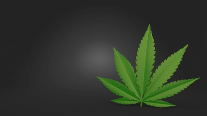 Canvas Print - Cannabis leaf on gray background