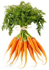 Wall Mural - BUNCH OF CARROTS CUT OUT