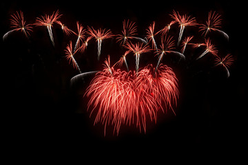 Colorful of fireworks in holiday new year festival on black sky.