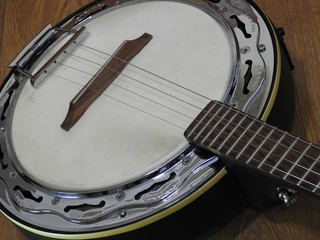 Wall Mural - Close-up of a Brazilian string musical instrument: samba banjo. It is widely used to accompany samba, the most famous Brazilian rhythm. It is made of wood, metal and leather.