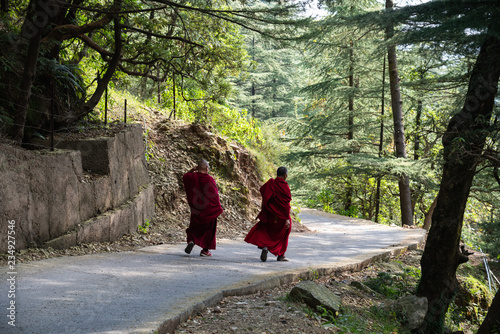 Fotomural Buddhist monk walking in Dharmasala a small village in northern India