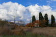 city regular park in autumn 