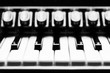 Piano-Tasten eines Akkordeons in schwarz weiß