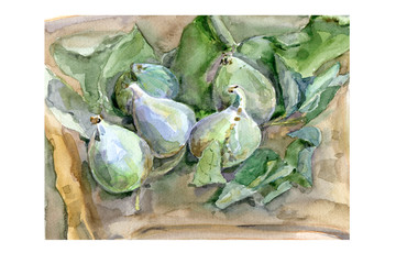 Watercolor hand-drawn. 5 ripe and green pieces of fig fruit lying on leaves.