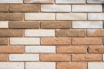 Wall Mural - Light & Dark BrickTexture