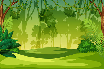 a green jungle landscape