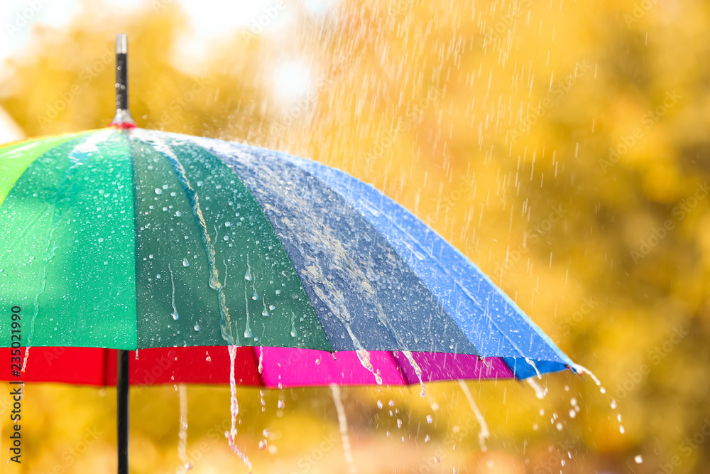 Bright color umbrella under rain outdoors, closeup - obrazy, fototapety, plakaty 