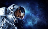 Fototapeta Zwierzęta - First trip to space. Mixed media