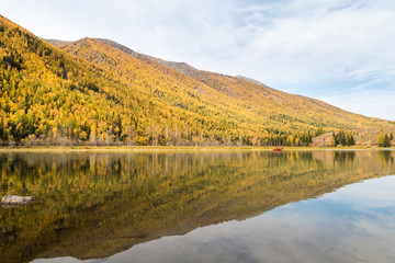 Wall Mural - autumn mountain forest and reflection in kanas