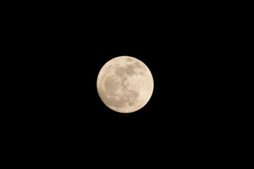 Wall Mural - full moon on black.