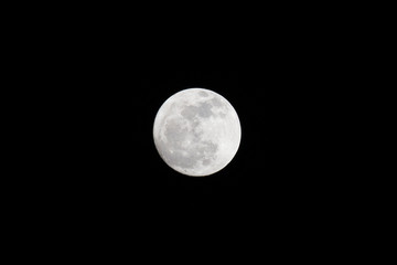 Wall Mural - full moon on black.