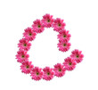 © patanasak - English alphabet from pink chrysanthemum