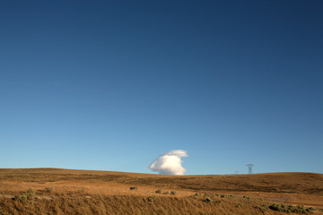 Sticker - cloud and field