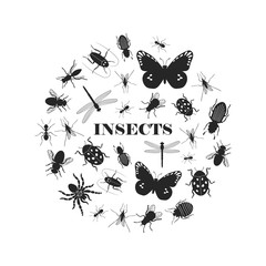 Wall Mural - Black insect silhouettes in round shape vector illustration