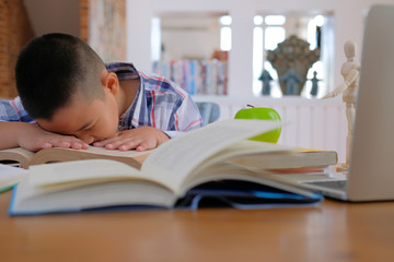 Wall Mural - lazy stressed young little asian kid boy  resting sleeping on desk. child fall asleep. children tired from studying