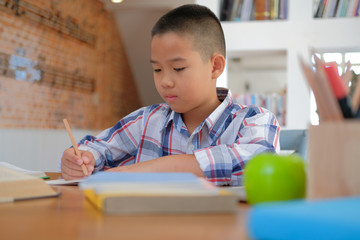 Wall Mural - little asian kid boy schoolboy writing drawing on notebook. child children doing homework.