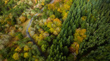 Fototapeta Pomosty - Drone top view over turn road bend in countryside autumn pine forest.