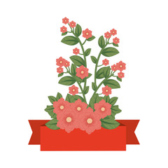 Poster - branch with flowers and ribbon