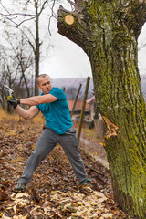 Wall Mural - Lumberjack worker chopping down a tree breaking off many splinters in the forest with big axe.