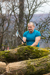 Wall Mural - Lumberjack worker chopping down a tree breaking off many splinters in the forest with big axe.