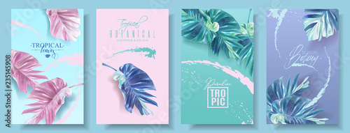 Fotografía Vector banners set of alocasia tropic leaf