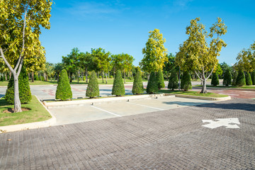 Wall Mural - Empty space in city park outdoor concrete parking lot area with blue sky in summer season. Green nature gardening in car parking lot. Friendly environmental and transportation concept.