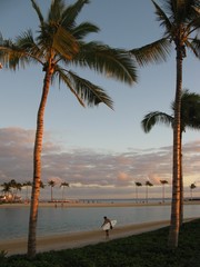 Surfer walking home on beach with palmtrees just after sunsent, orangy sky