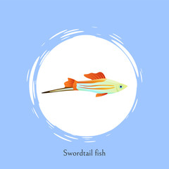 Wall Mural - Swordtail Fish in White Circle Isolated on Blue