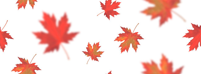 seamless pattern with bright orange red blurred falling maple leaves isolated on white background. s