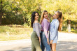 © Ivan - Summer autumn vacation, holidays, travel and people concept - group of young women in the park